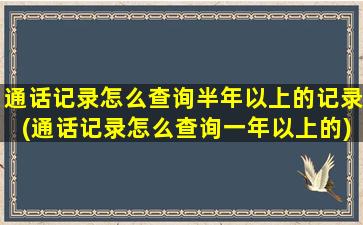 通话记录怎么查询半年以上的记录(通话记录怎么查询一年以上的)