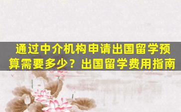 通过中介机构申请出国留学预算需要多少？出国留学费用指南