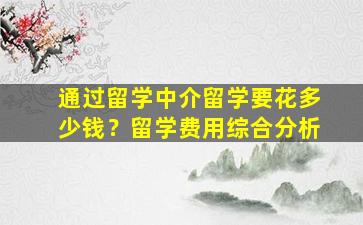 通过留学中介留学要花多少钱？留学费用综合分析