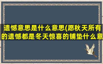 遗憾意思是什么意思(愿秋天所有的遗憾都是冬天惊喜的铺垫什么意思)