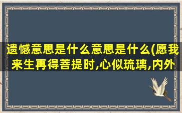 遗憾意思是什么意思是什么(愿我来生再得菩提时,心似琉璃,内外明澈,净无瑕秽，什么意思)