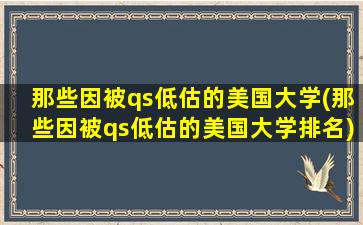 那些因被qs低估的美国大学(那些因被qs低估的美国大学排名)