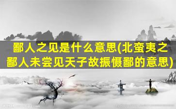 鄙人之见是什么意思(北蛮夷之鄙人未尝见天子故振慑鄙的意思)