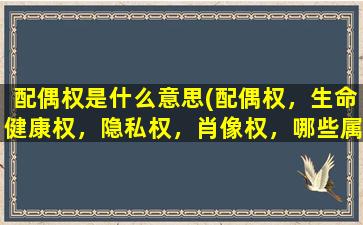 配偶权是什么意思(配偶权，生命健康权，隐私权，肖像权，哪些属于人格权)