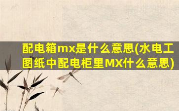 配电箱mx是什么意思(水电工图纸中配电柜里MX什么意思)