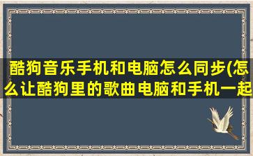 酷狗音乐手机和电脑怎么同步(怎么让酷狗里的歌曲电脑和手机一起同步)