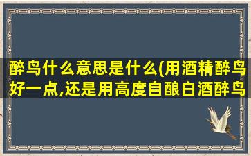 醉鸟什么意思是什么(用酒精醉鸟好一点,还是用高度自酿白酒醉鸟好一点)