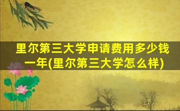 里尔第三大学申请费用多少钱一年(里尔第三大学怎么样)