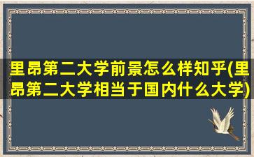 里昂第二大学前景怎么样知乎(里昂第二大学相当于国内什么大学)