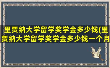 里贾纳大学留学奖学金多少钱(里贾纳大学留学奖学金多少钱一个月)