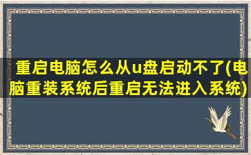 重启电脑怎么从u盘启动不了(电脑重装系统后重启无法进入系统)