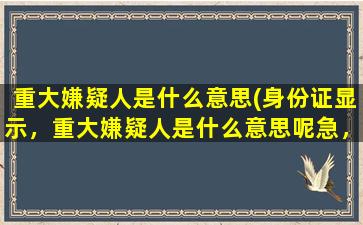 重大嫌疑人是什么意思(身份证显示，重大嫌疑人是什么意思呢急，坐等)