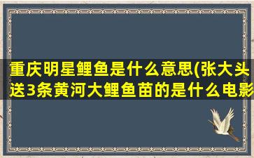 重庆明星鲤鱼是什么意思(张大头送3条黄河大鲤鱼苗的是什么电影)