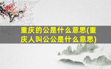 重庆的公是什么意思(重庆人叫公公是什么意思)