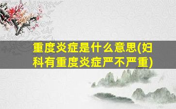 重度炎症是什么意思(妇科有重度炎症严不严重)