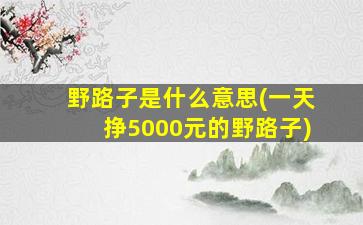 野路子是什么意思(一天挣5000元的野路子)