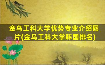 金乌工科大学优势专业介绍图片(金乌工科大学韩国排名)