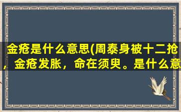 金疮是什么意思(周泰身被十二抢，金疮发胀，命在须臾。是什么意思)