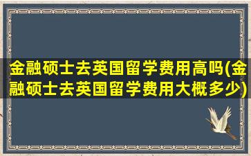 金融硕士去英国留学费用高吗(金融硕士去英国留学费用大概多少)