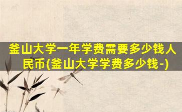 釜山大学一年学费需要多少钱人民币(釜山大学学费多少钱-)