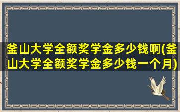 釜山大学全额奖学金多少钱啊(釜山大学全额奖学金多少钱一个月)