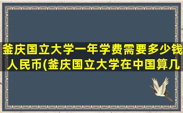 釜庆国立大学一年学费需要多少钱人民币(釜庆国立大学在中国算几本)