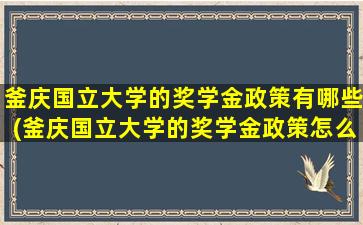 釜庆国立大学的奖学金政策有哪些(釜庆国立大学的奖学金政策怎么样)