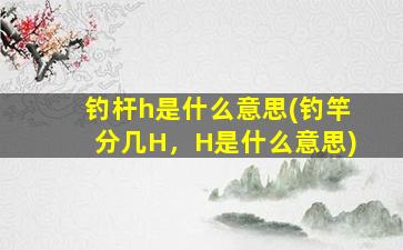 钓杆h是什么意思(钓竿分几H，H是什么意思)