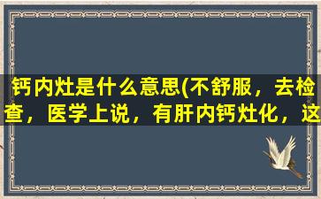 钙内灶是什么意思(不舒服，去检查，医学上说，有肝内钙灶化，这是什么意思)