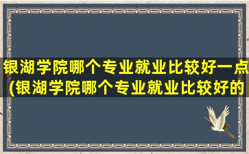 银湖学院哪个专业就业比较好一点(银湖学院哪个专业就业比较好的)