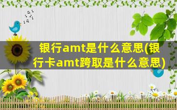 银行amt是什么意思(银行卡amt跨取是什么意思)