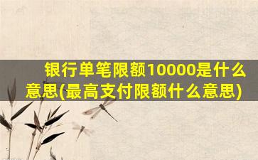 银行单笔限额10000是什么意思(最高支付限额什么意思)