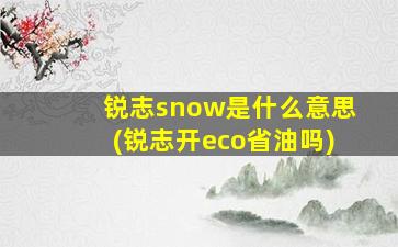 锐志snow是什么意思(锐志开eco省油吗)