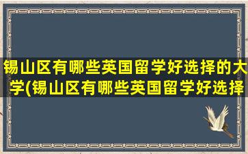 锡山区有哪些英国留学好选择的大学(锡山区有哪些英国留学好选择的地方)