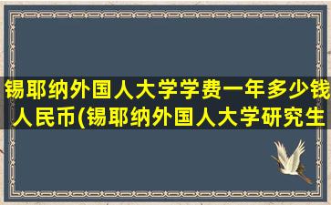 锡耶纳外国人大学学费一年多少钱人民币(锡耶纳外国人大学研究生)