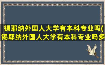 锡耶纳外国人大学有本科专业吗(锡耶纳外国人大学有本科专业吗多少分)