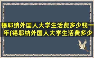 锡耶纳外国人大学生活费多少钱一年(锡耶纳外国人大学生活费多少钱)