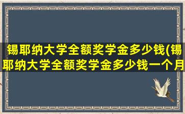 锡耶纳大学全额奖学金多少钱(锡耶纳大学全额奖学金多少钱一个月)