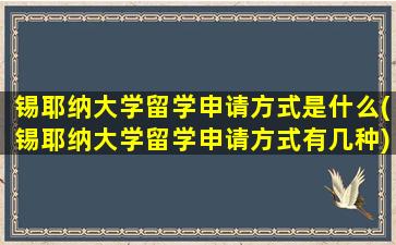 锡耶纳大学留学申请方式是什么(锡耶纳大学留学申请方式有几种)