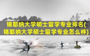 锡耶纳大学硕士留学专业排名(锡耶纳大学硕士留学专业怎么样)