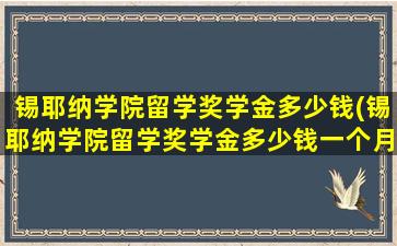 锡耶纳学院留学奖学金多少钱(锡耶纳学院留学奖学金多少钱一个月)