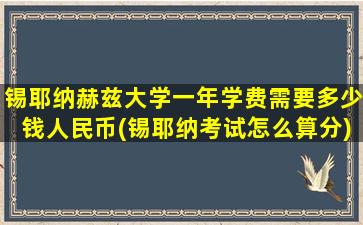 锡耶纳赫兹大学一年学费需要多少钱人民币(锡耶纳考试怎么算分)