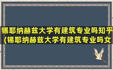 锡耶纳赫兹大学有建筑专业吗知乎(锡耶纳赫兹大学有建筑专业吗女生)