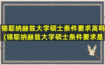 锡耶纳赫兹大学硕士条件要求高吗(锡耶纳赫兹大学硕士条件要求是什么)