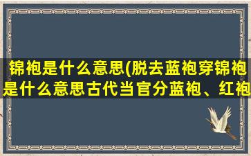 锦袍是什么意思(脱去蓝袍穿锦袍是什么意思古代当官分蓝袍、红袍、白袍、绯袍、紫袍，但是没听过锦袍的求大神详解)