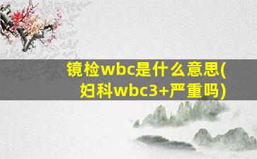 镜检wbc是什么意思(妇科wbc3+严重吗)