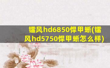 镭风hd6850悍甲蜥(镭风hd5750悍甲蜥怎么样)