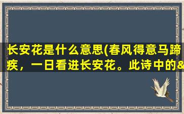 长安花是什么意思(春风得意马蹄疾，一日看进长安花。此诗中的“花”是指什么花)