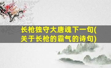 长枪独守大唐魂下一句(关于长枪的霸气的诗句)