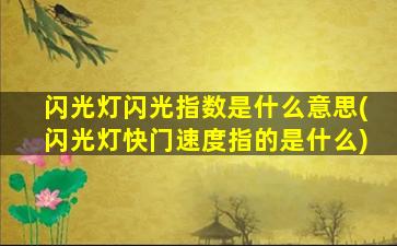 闪光灯闪光指数是什么意思(闪光灯快门速度指的是什么)